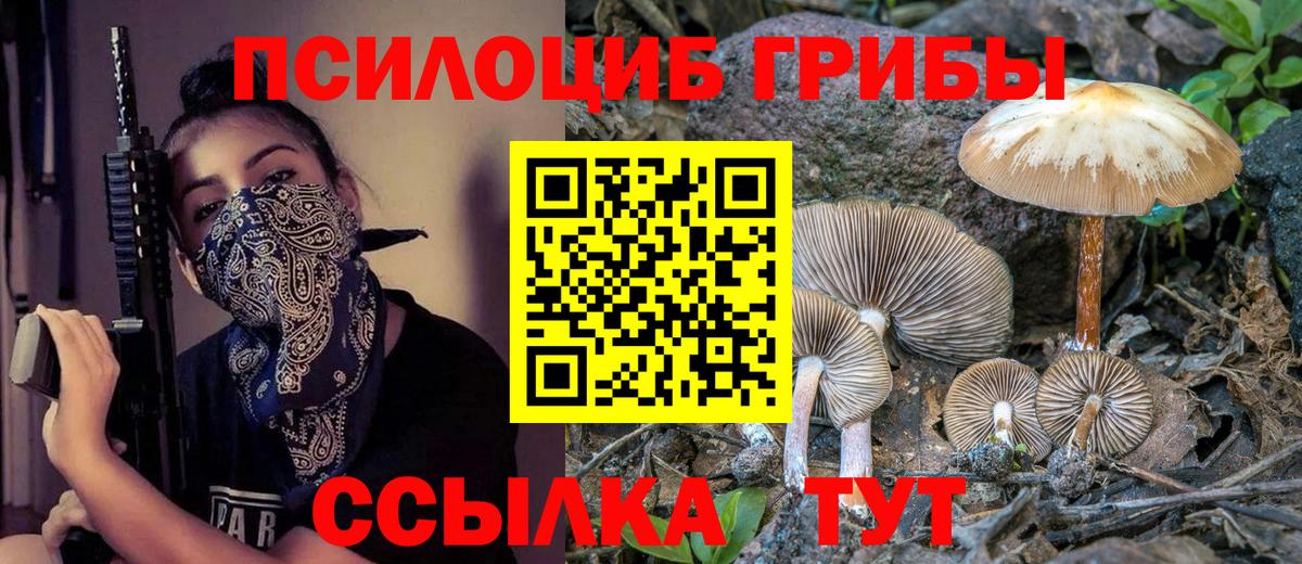 Галлюциногенные грибы мухоморы Избербаш