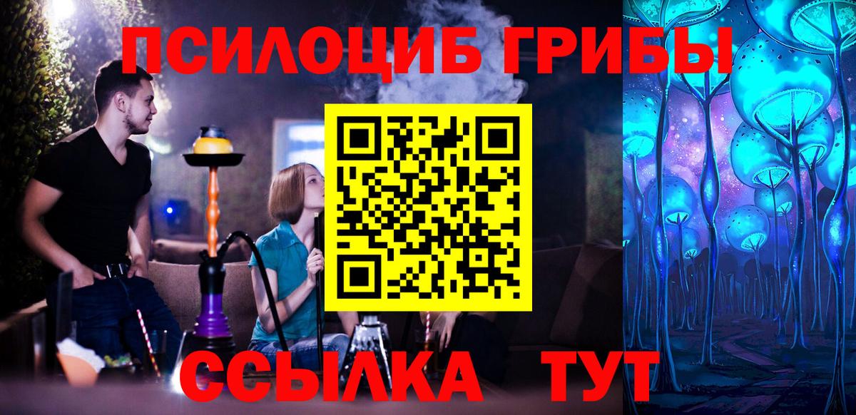 Псилоцибиновые грибы Magic Shrooms  Вход с VPN  купить наркотики цена  Избербаш 